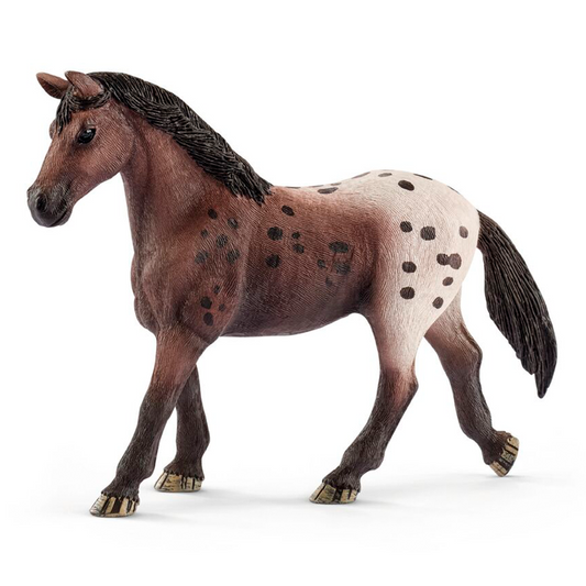 Appaloosa-hopp