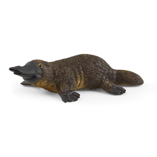 Platypus