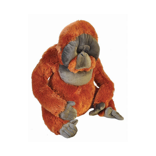 Orangutang, 75 cm