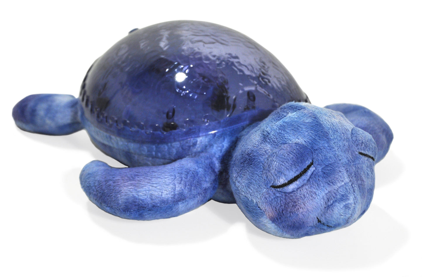 Tranquil Turtle, hav